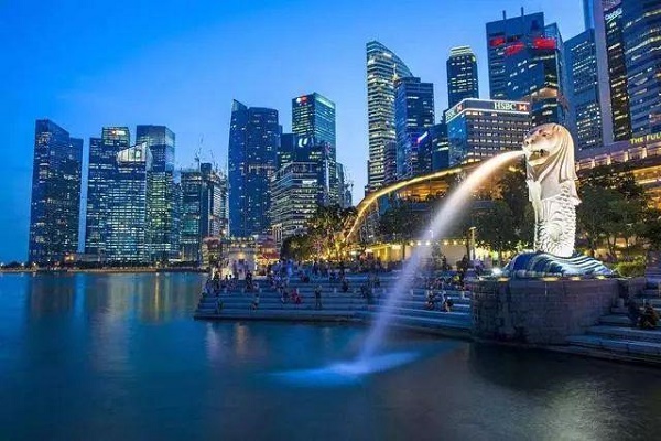 新加坡公司审计